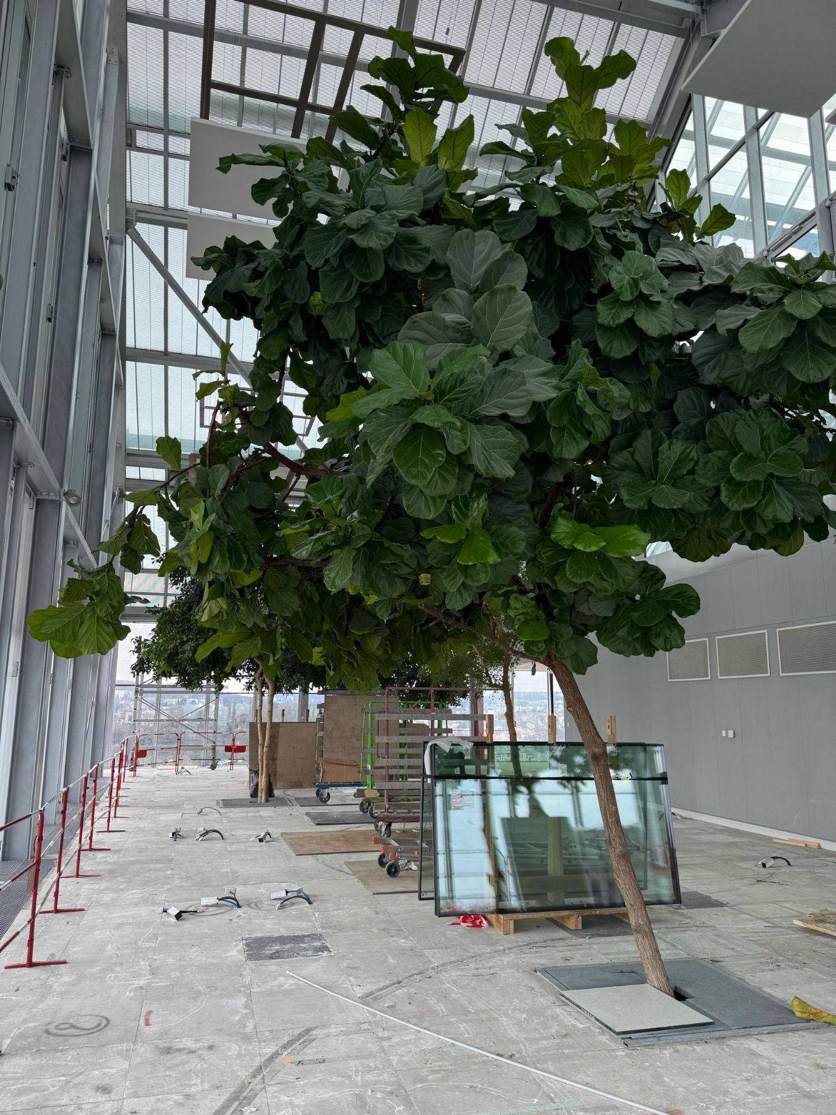 Aménagement bureaux professionnels 1000m² image 11